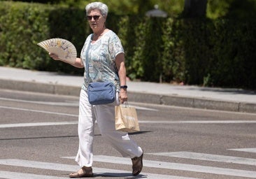 Diez consejos para sobrevivir sin sustos a la ola de calor