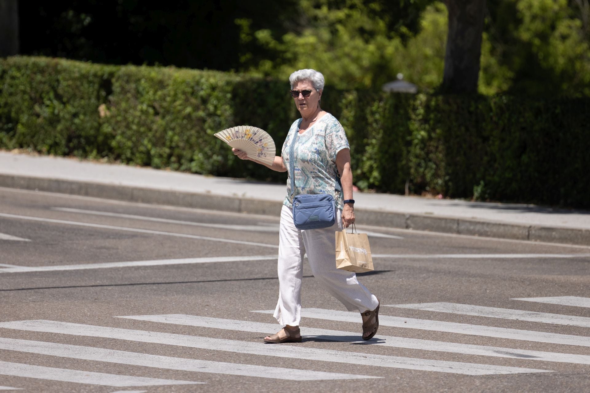 Una mujer cruza, abanico en mano, un paso de peatones en el centro de Valladolid.