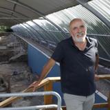 Carlos Sanz Mínguez, arqueólogo.