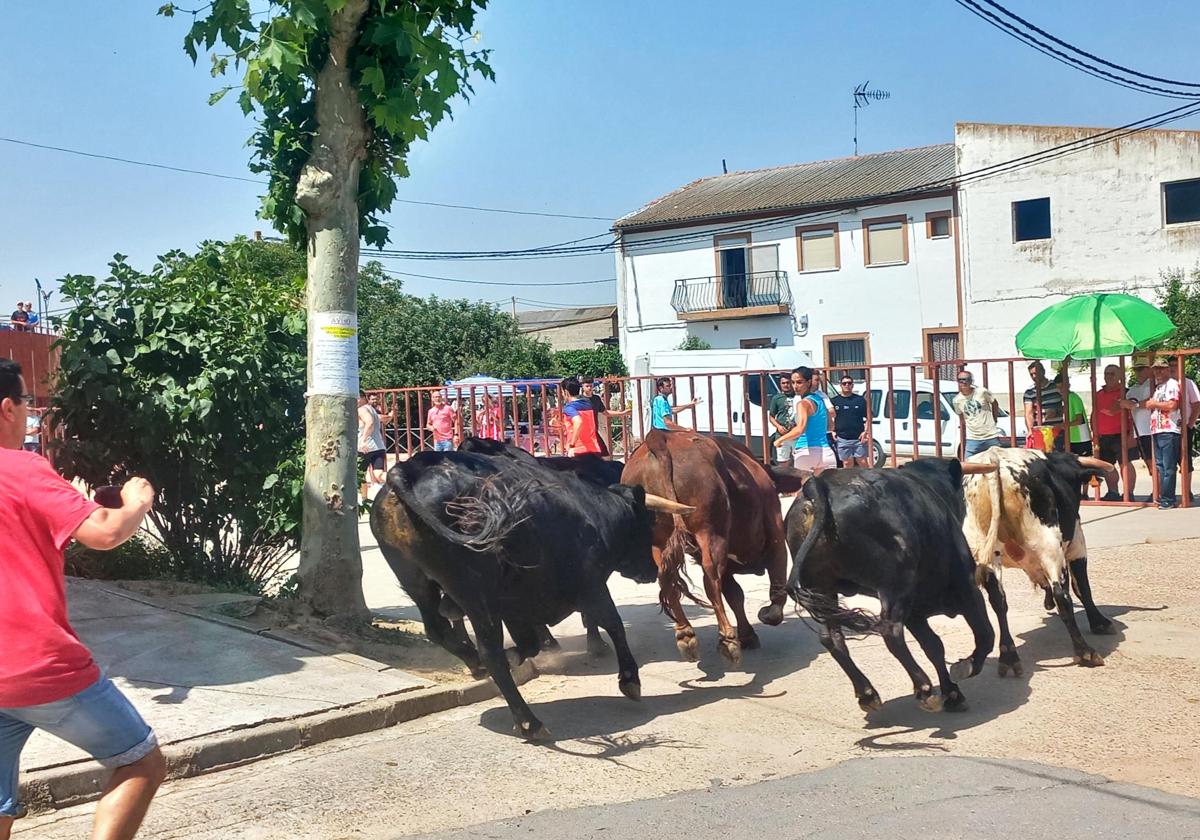 Un momento del recorrido por las calles de Sieteiglesias.