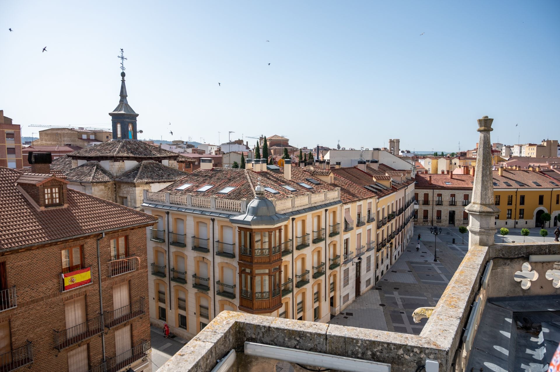 La Catedral de Palencia, desde las alturas y desde los triforios