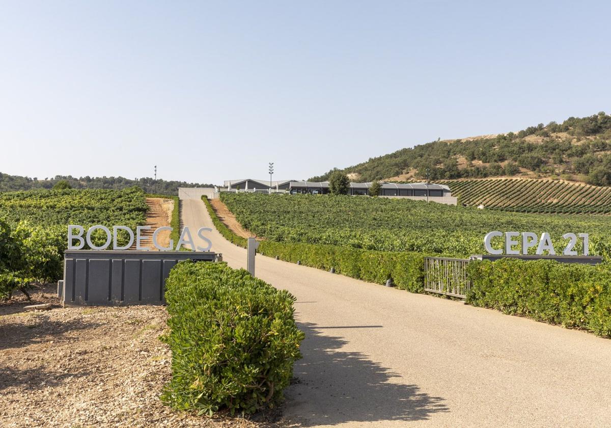 Entrada a las Bodegas Cepa 21.