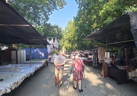Mercadillo semanal de Rioseco de ste miñercoles instalado en el psqreu de Duque de Osuna