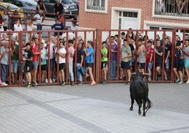 Participantes, a resguardo ante la presencia del toro.