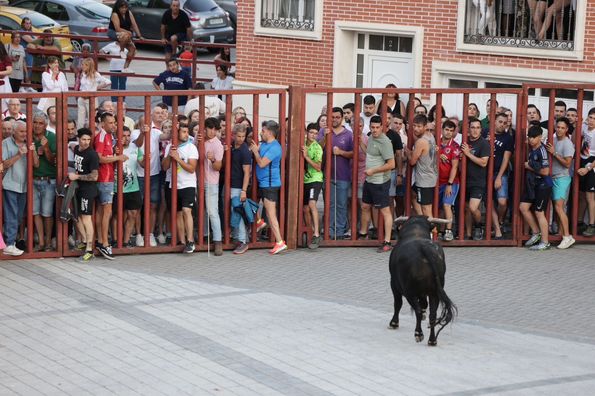 El Toro del cajón de Traspinedo, en imágenes