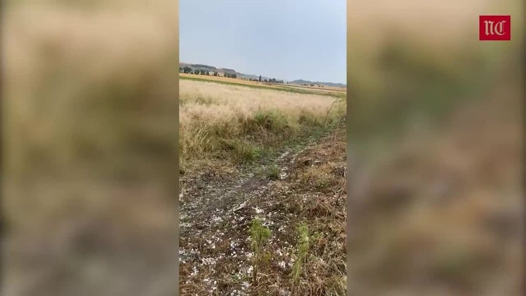 «20 minutos de desastre» con una tormenta de granizo que duró 20 minutos