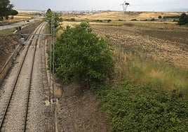Vías del tren en el entorno de Hontoria.