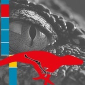 Lo que el fémur de un cocodrilo ibérico dice sobre el Duero de hace 40 millones de años