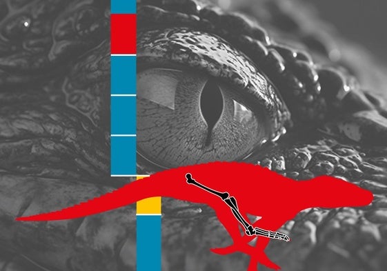 Lo que el fémur de un cocodrilo ibérico dice sobre el Duero de hace 40 millones de años