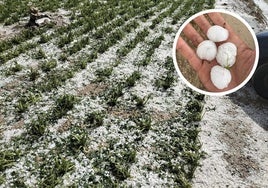 Granizo tras el temporal de ayer en el Valle de Esgueva.