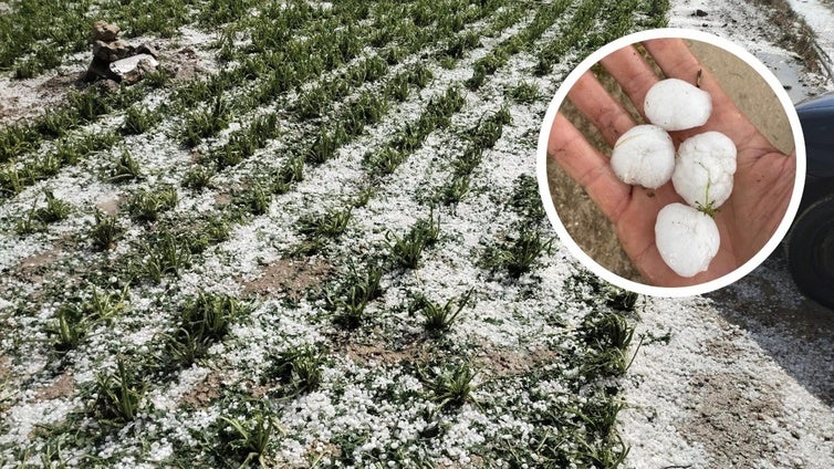 Granizo tras el temporal de ayer en el Valle de Esgueva.