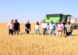 Presentación de la cosecha de cereal 2025 en Mayorga de Campos.