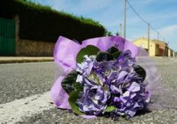 Un ramito de violetas en memoria de Cecilia