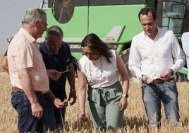 La consejera de Agricultura, Ganadería y Desarrollo Rural, María González Corral, presenta la cosecha de cereales de invierno de la campaña 2024-2025.