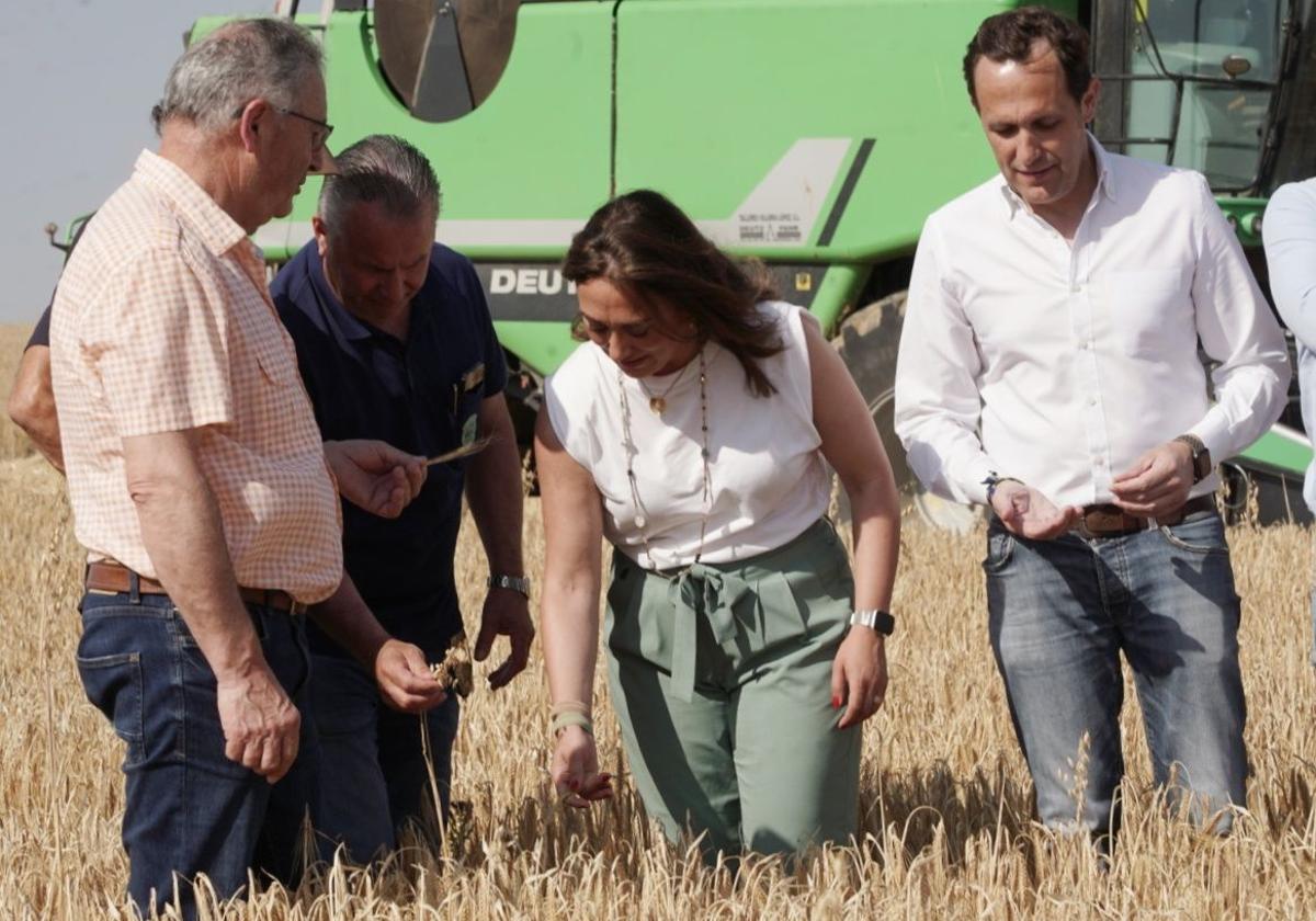 La consejera de Agricultura, Ganadería y Desarrollo Rural, María González Corral, presenta la cosecha de cereales de invierno de la campaña 2024-2025.