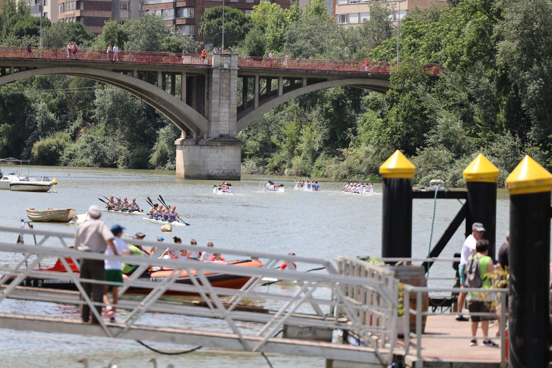 Las imágenes de la Regata Internacional K4 celebrada en aguas del Pisuerga