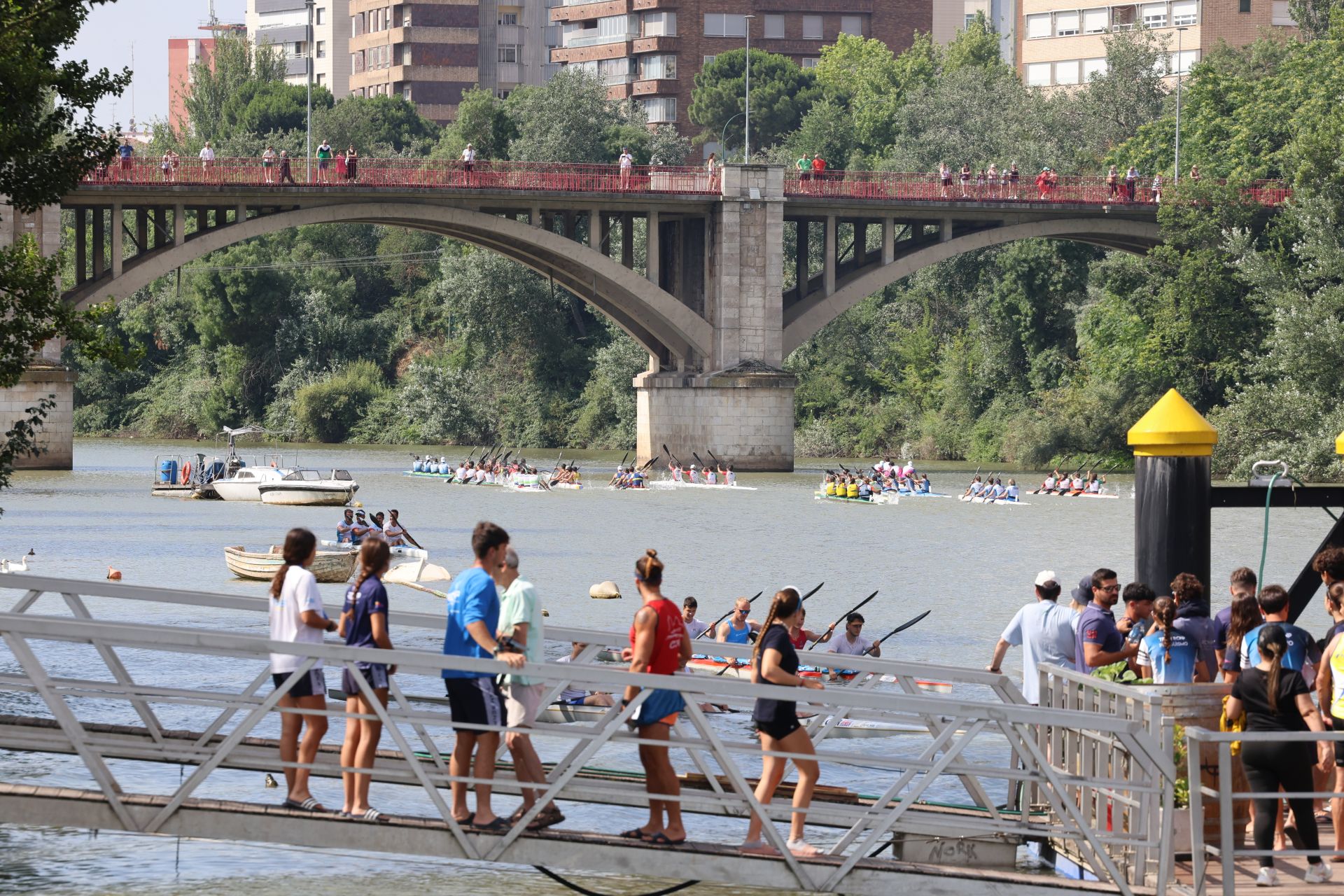 Las imágenes de la Regata Internacional K4 celebrada en aguas del Pisuerga