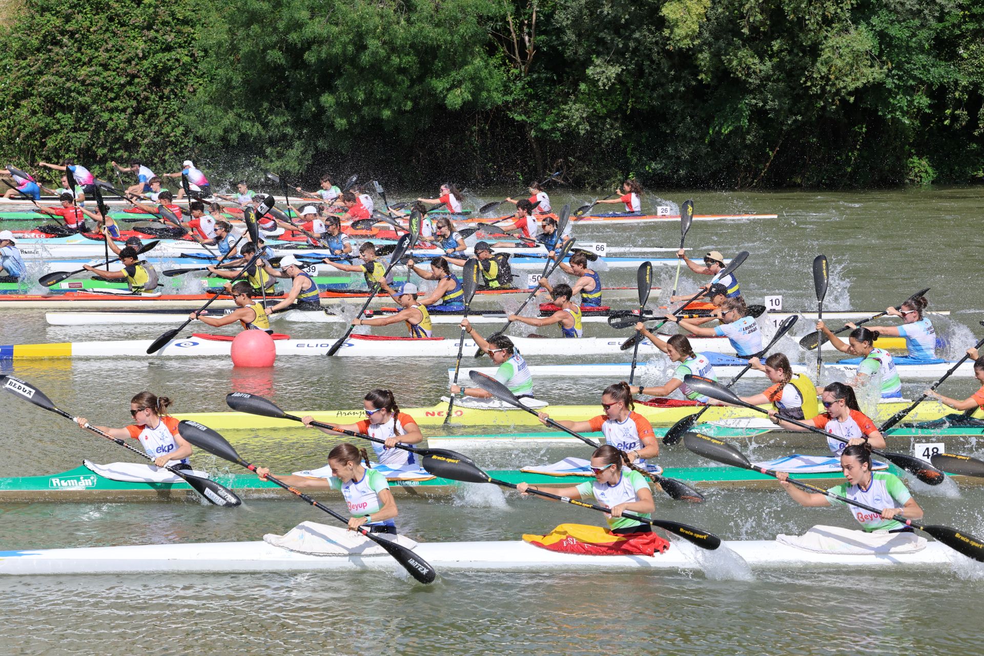 Las imágenes de la Regata Internacional K4 celebrada en aguas del Pisuerga