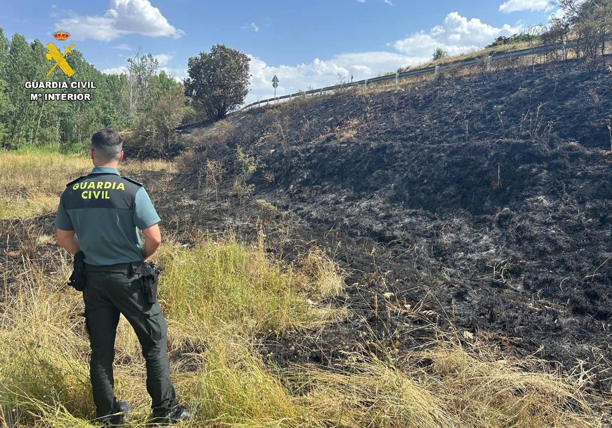 Terreno calcinado por la quema descontrolada.