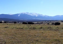 Terrenos del sector conocido como Prado del Hoyo con la sierra de fondo.