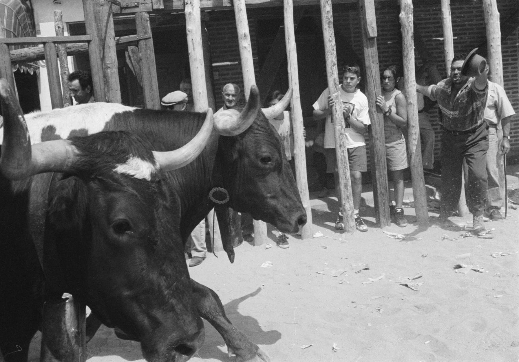 Varias personas observan desde las talanqueras la llegada del encierro en la localidad vallisoletana de Serrada. 26 de junio de 1999.