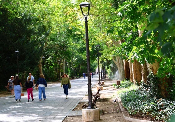 Vista del paseo central del Campo Grande de Valladolid.