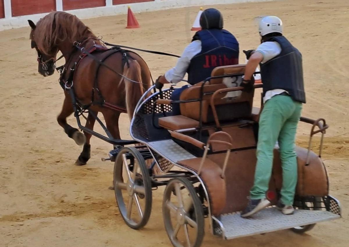 Imagen secundaria 1 - Alejandra Mingo se erige en protagonista de la Copa Diputación de Valladolid de Doma Vaquera