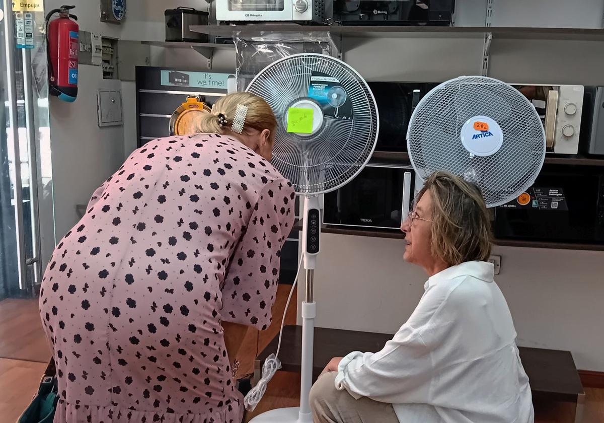 Unas clientas se interesan por unos ventiladores en una tienda de la capital segoviana.