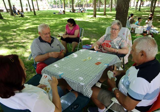 Unos vecinos juegan a las cartas a la sobra de los árboles en la Alameda de la Fuencisla.