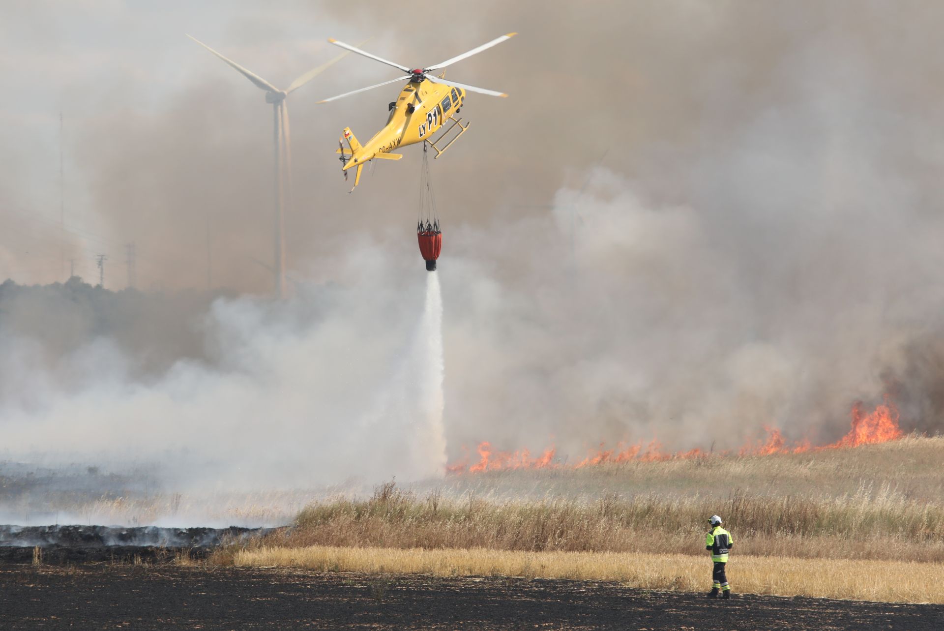 Así ha sido el incendio en las tierras agrícolas de Villalobón