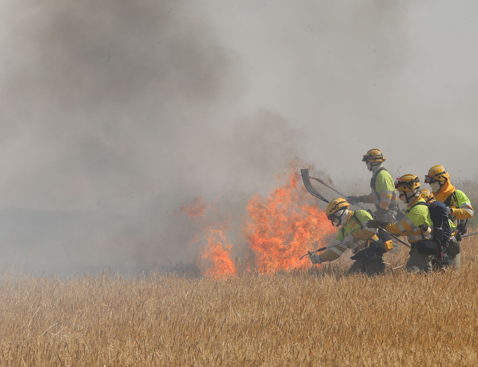 Así ha sido el incendio en las tierras agrícolas de Villalobón