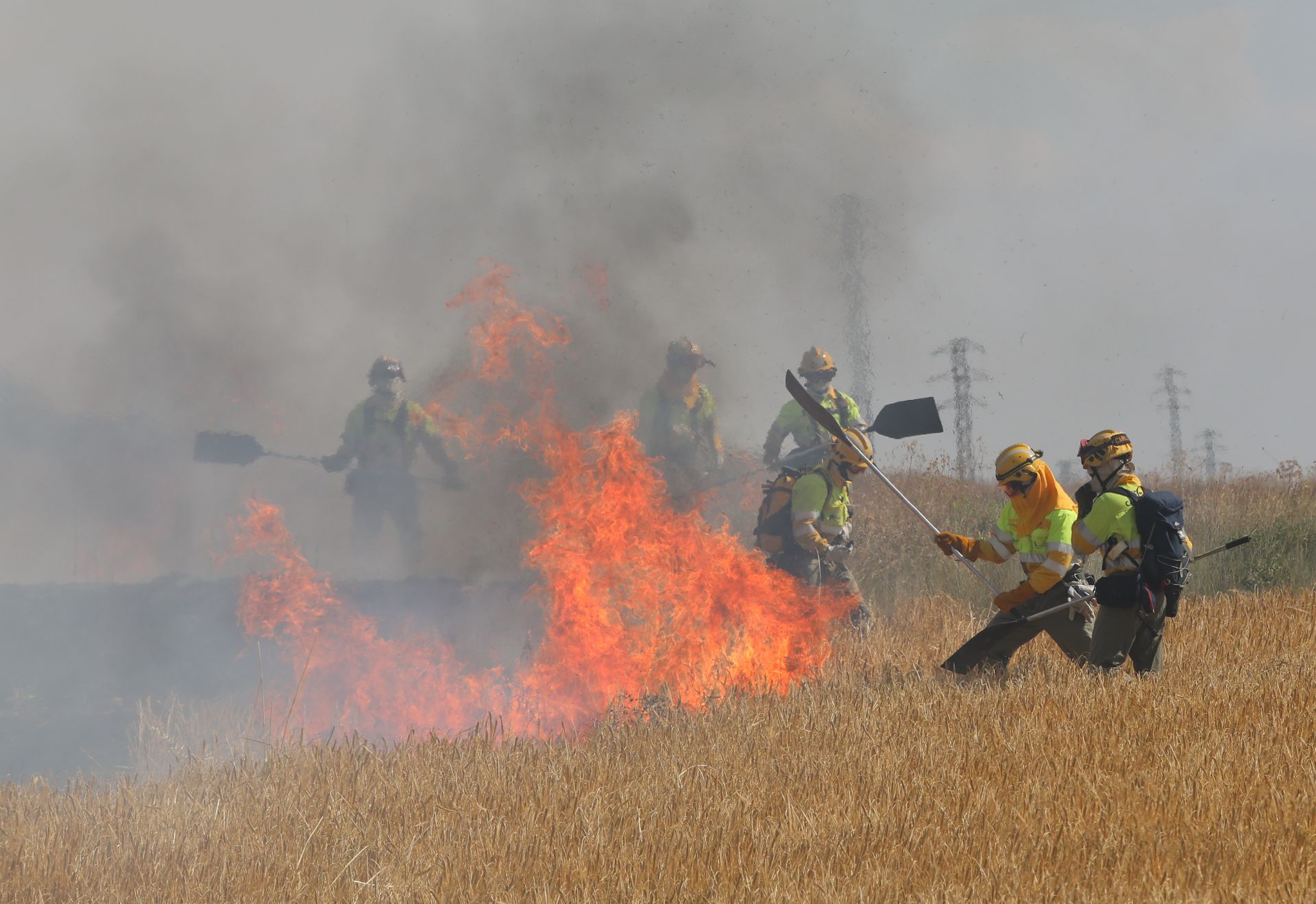 Así ha sido el incendio en las tierras agrícolas de Villalobón