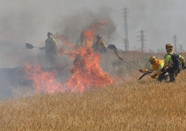 Así ha sido el incendio en las tierras agrícolas de Villalobón