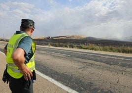 Un agente de la Guardia Civil inspecciona el terreno calcinado.