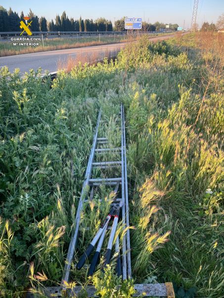 Tras inspeccionar la zona ante la presencia de un vehículo sospechoso, los agentes localizaron unas escaleras telescópicas entre la maleza y herramientas de corte.