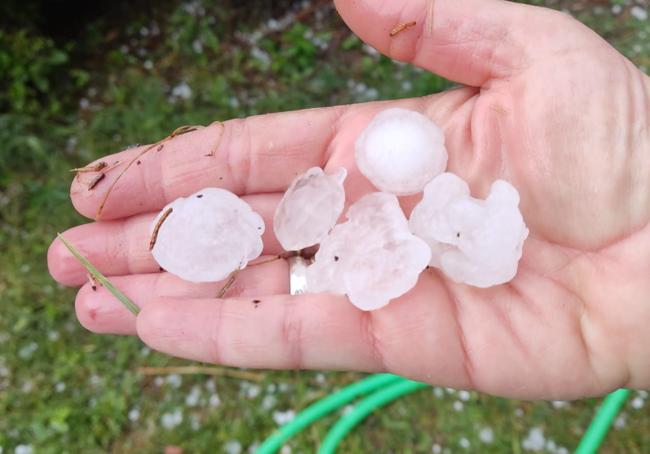 Bolas de granizo caídas el 11 de junio en un municipio del nordeste de Segovia.