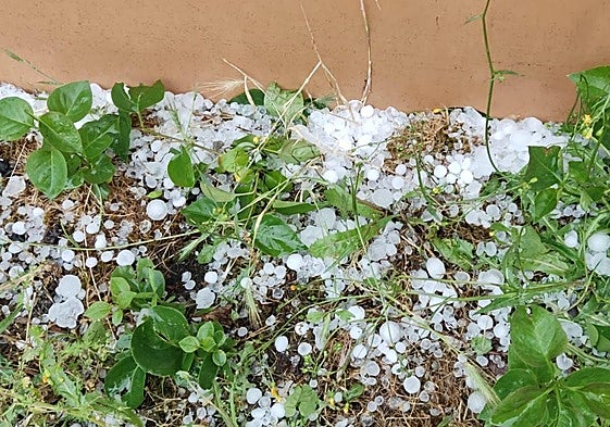 Pedrisco de grandes dimensiones cubre el suelo en junio tras el paso de una tormenta.