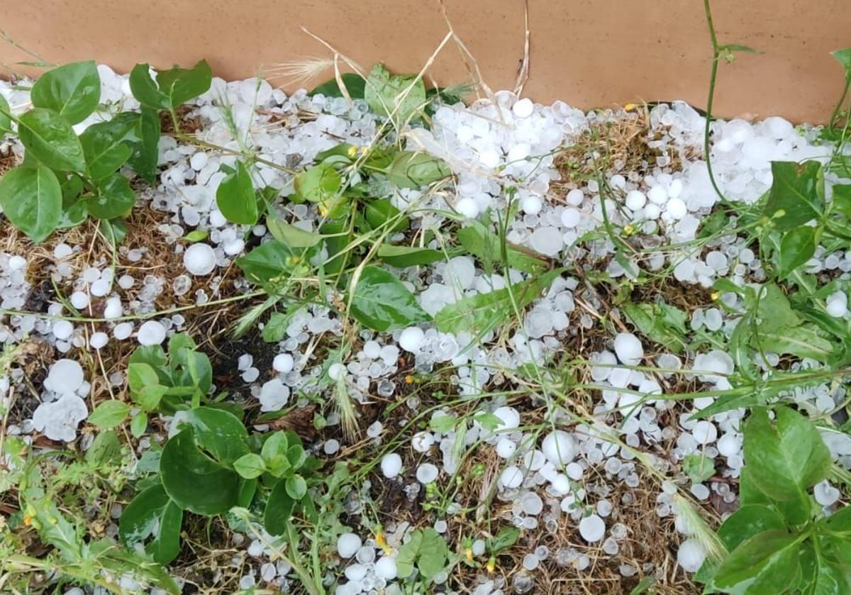 Pedrisco de grandes dimensiones cubre el suelo en junio tras el paso de una tormenta.