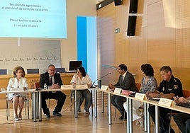 Reunión de la Sección de Agresional al personal de centros sanitarios del Observatorio de la comunidad celebrada este viernes.