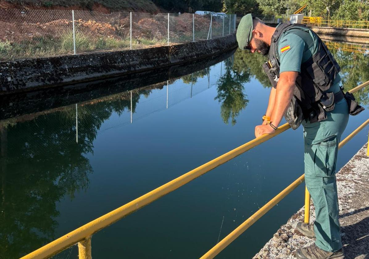 Localizan sin vida al hombre desaparecido en León, semisumergido en un canal de riego