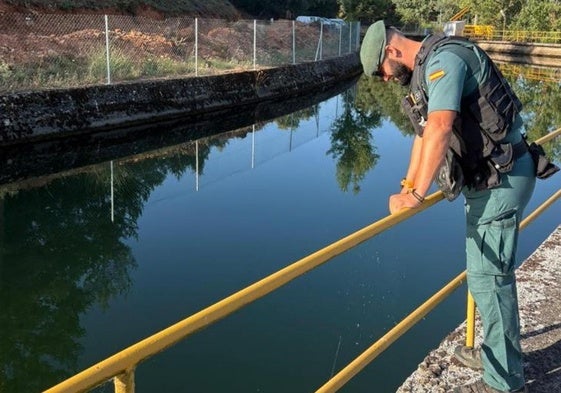 Localizan sin vida al hombre desaparecido en León, semisumergido en un canal de riego
