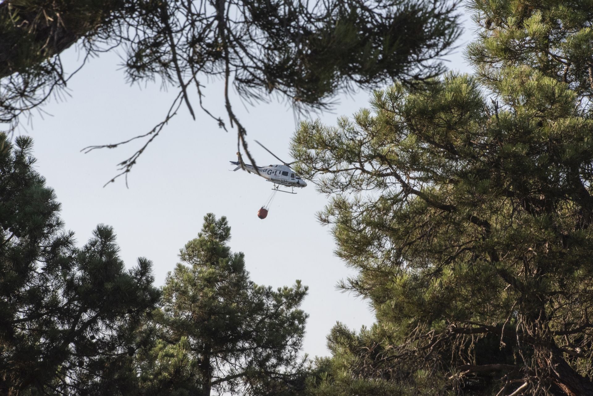 Fotos de los trabajos de extinción del incendio en Cuéllar