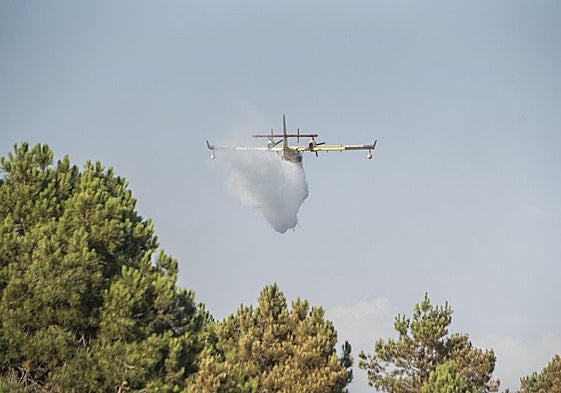 Un hidroavión descarga agua sobre el incendio en Tierra de Pinares.