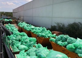 Bolsas de basura dispuestas en contenedores de carga para su próximo traslado a un centro de residuos.