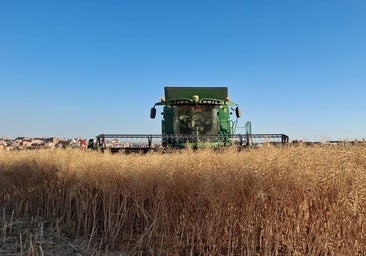 Castilla y León defiende una PAC centrada en los jóvenes, el regadío y los profesionales