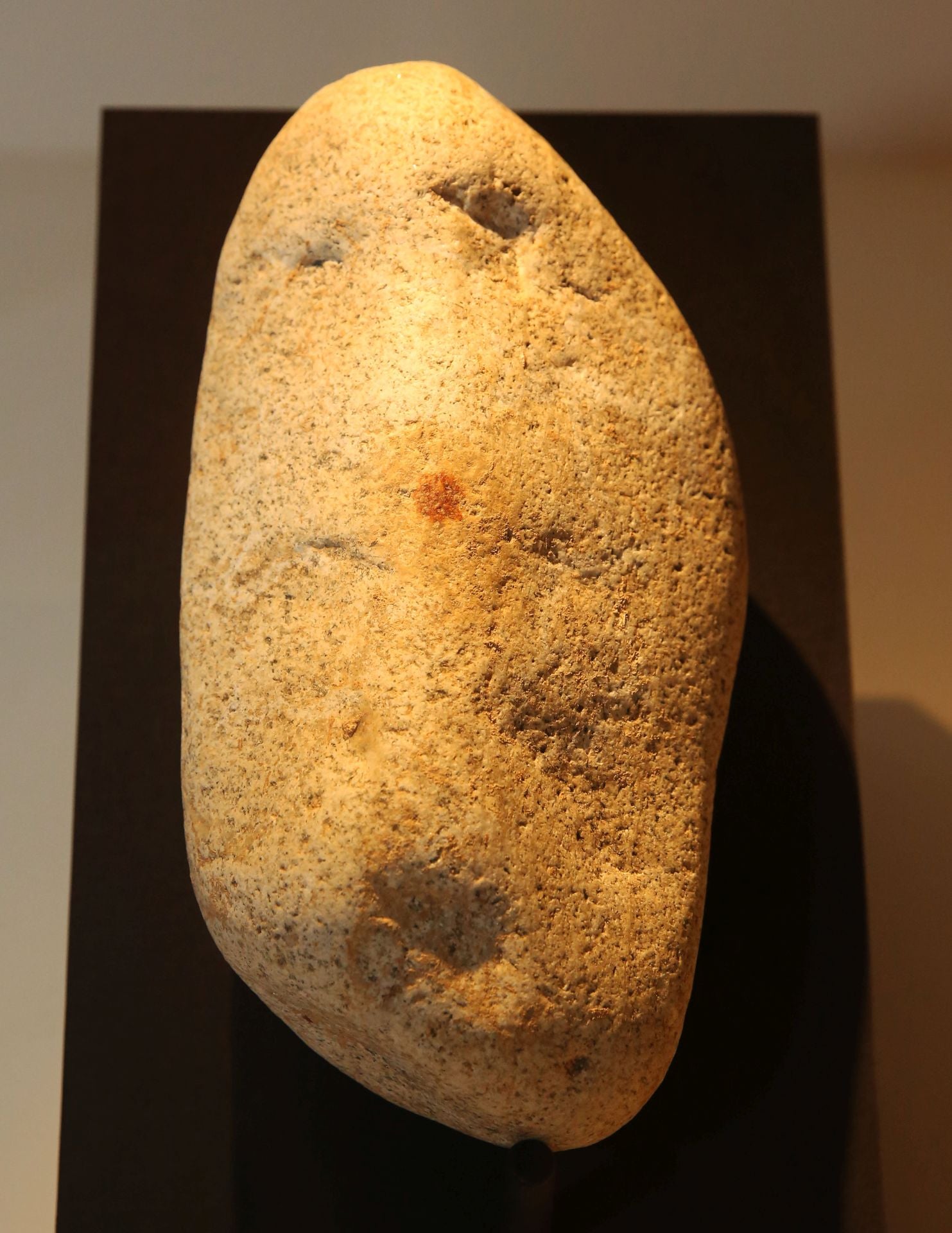 La exposición de la huella más antigua del mundo, en imágenes