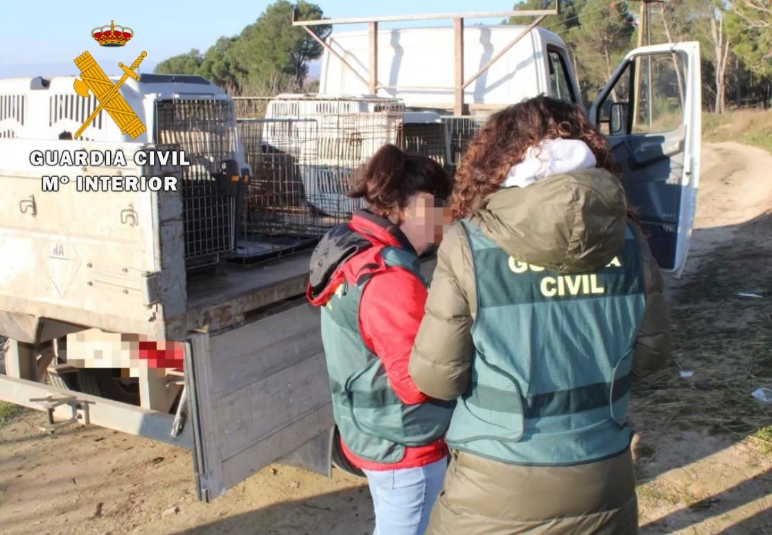 El rescate de 23 perros maltratados, en imágenes