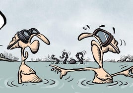 La viñeta de Sansón: «Nuevo nivel»