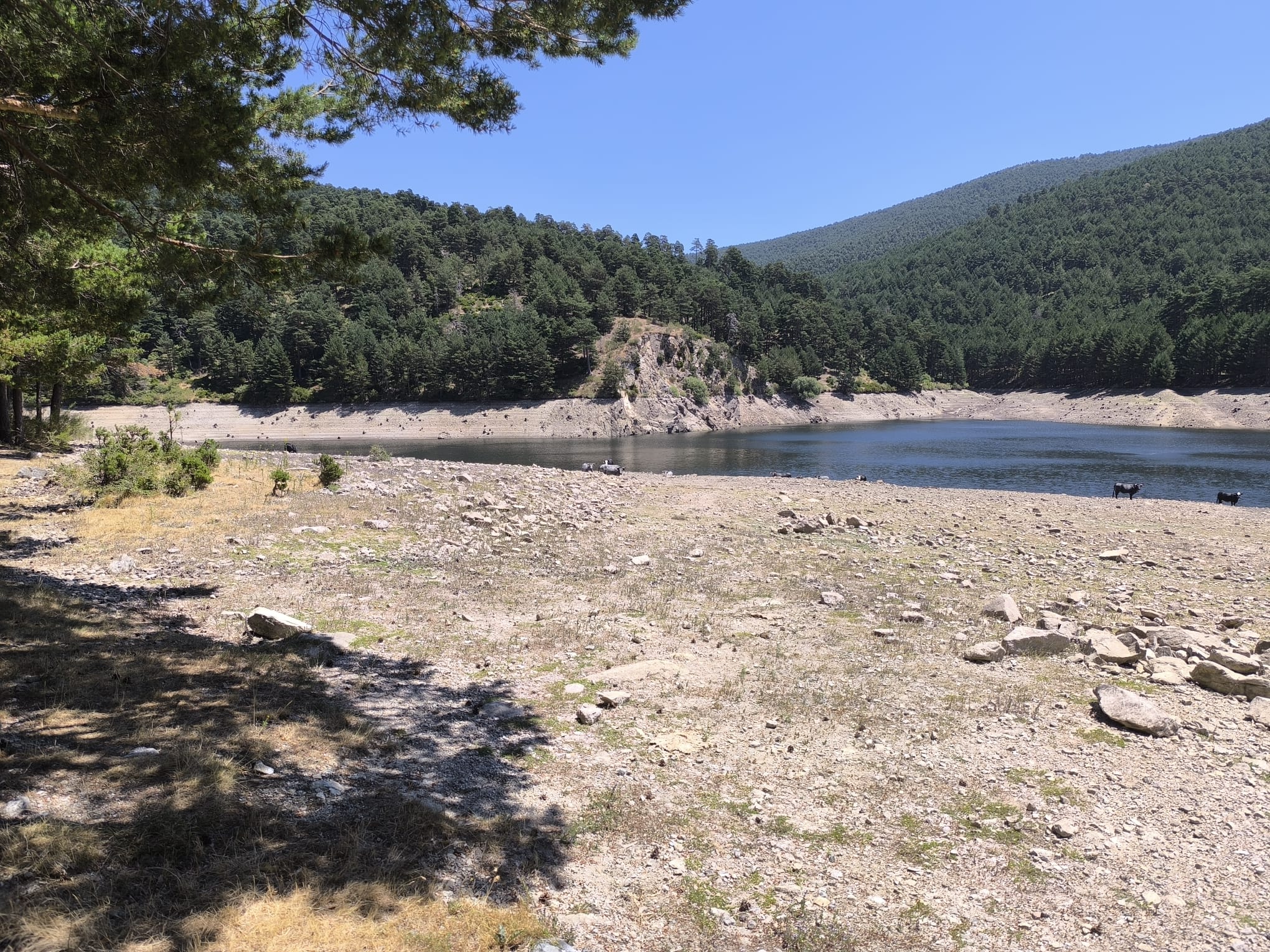 Estado de la presa de El Tejo.