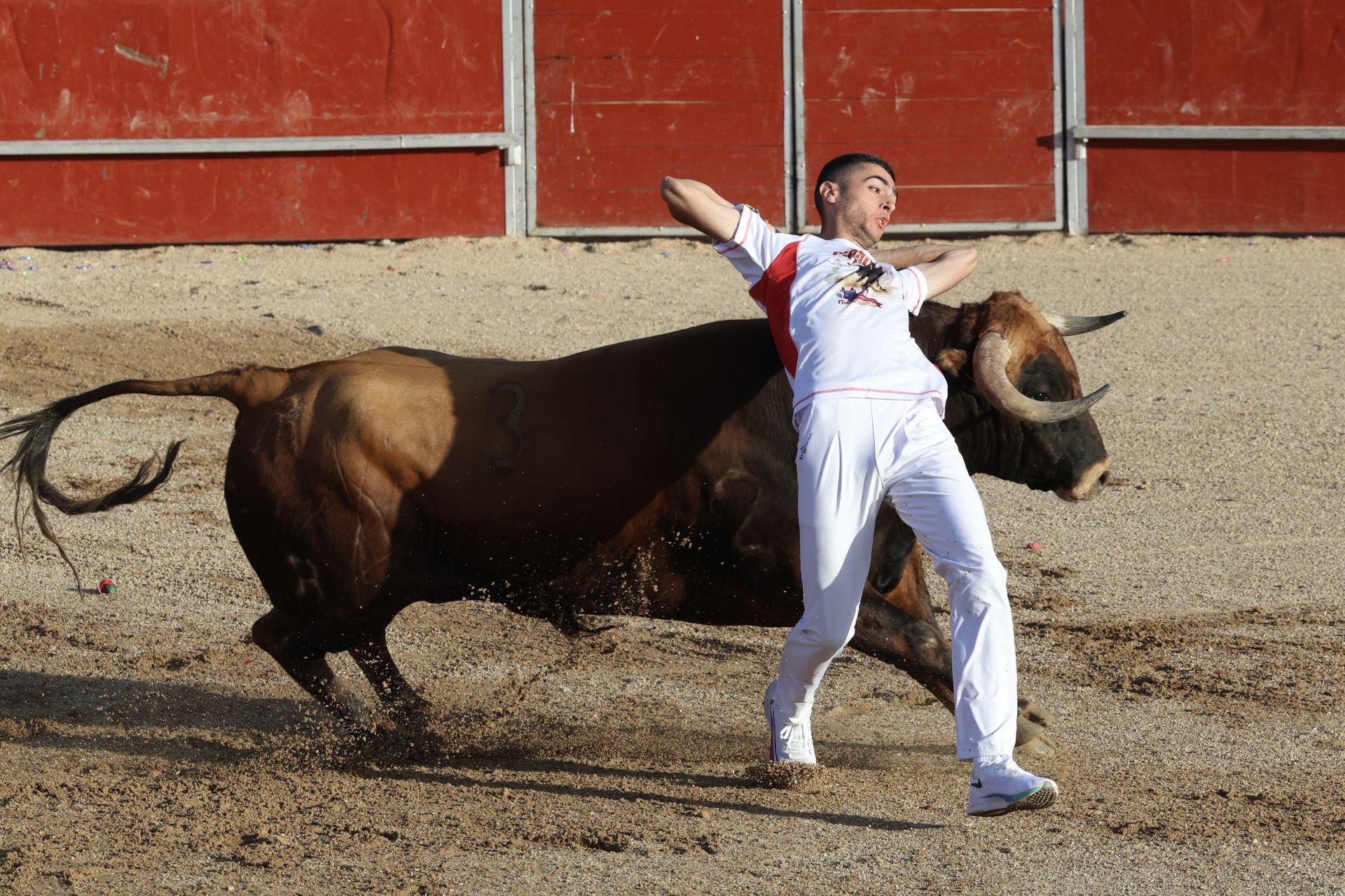 Las imágenes del concurso de cortes en Cigales